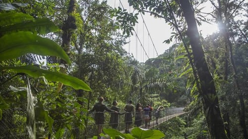 itinerary_mobi_Costa_Rica_La_Fortuna_Suspension_Bridge_Jungle_Travellers_Local_Guide_CEO_Group_Wide_-_2018_0W3A5860_Lg_RGB