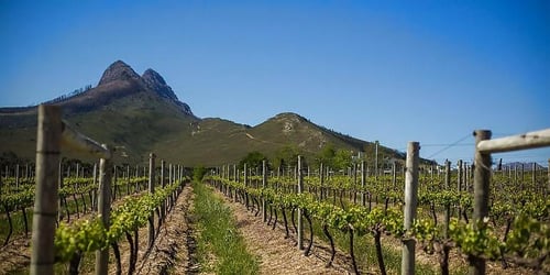 25dcf35a1271b07f4b81cd21ecee6674