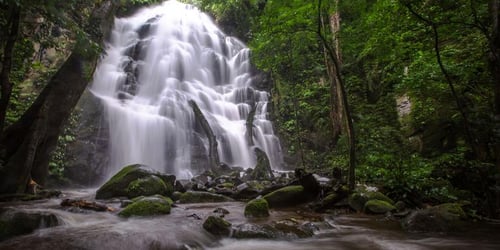 a3baca6e7618b603e4c140accf2e2542