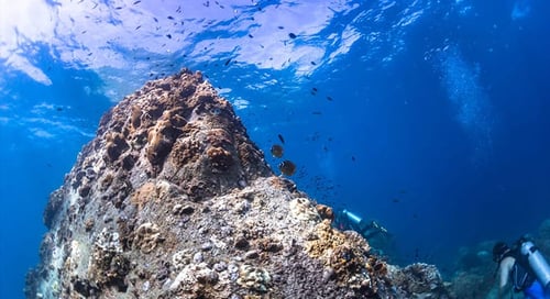 1_bv-product-web-gallery-uw-001