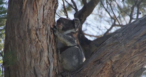 43424-04dc9cce-ff1a-44c8-aec6-6d0ac8ae52a3-thumbnail