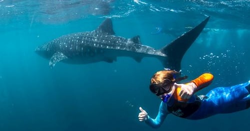 29834-32af7276-2dcc-4c30-a6a9-17fc2e9a081a-thumbnail