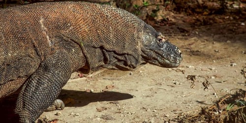 85b99c1d59b4ff436fac578a7056fd7d