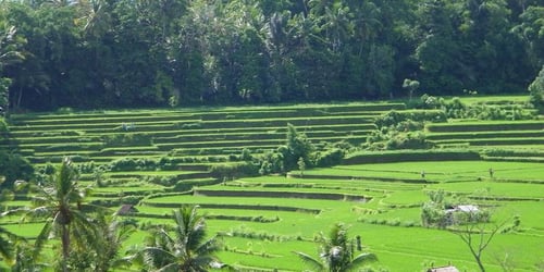 2b610ac793b4fd94d9209be665495b56