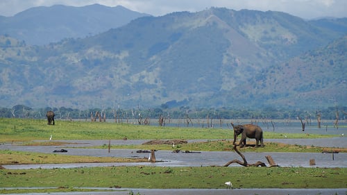 nkar_udawalawa_1_1280x720