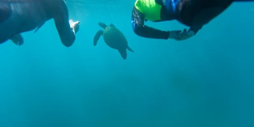 c05c4f9cfd0157321ac90f6dc1ec926c