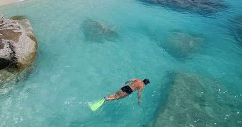 36335-ace08961-a373-4f0e-aa44-f5a29944dc73-thumbnail