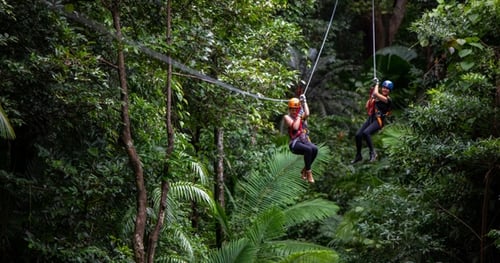 45070-dd844fe0-6c76-46e4-ab99-4c33a9697496-thumbnail