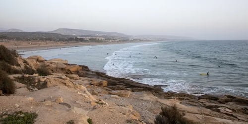 c61a6c239264a1a3ffac85acb244a152