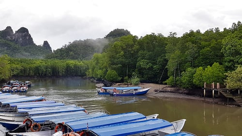 langkawi_-_mangrove_1280x720_for_navi_web
