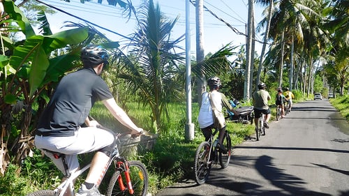 north_ubud_biking_moderate_trip_3hrs_-_2019_24_1280x720_for_navi_web