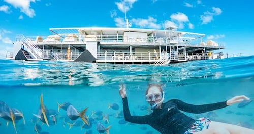 37868-30813ab7-18bb-4c22-8555-328c109a8f47-thumbnail