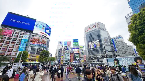 djurre_3_1280x720_for_navi_web