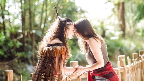 funky_chicken_kiwi_experience_1280x720