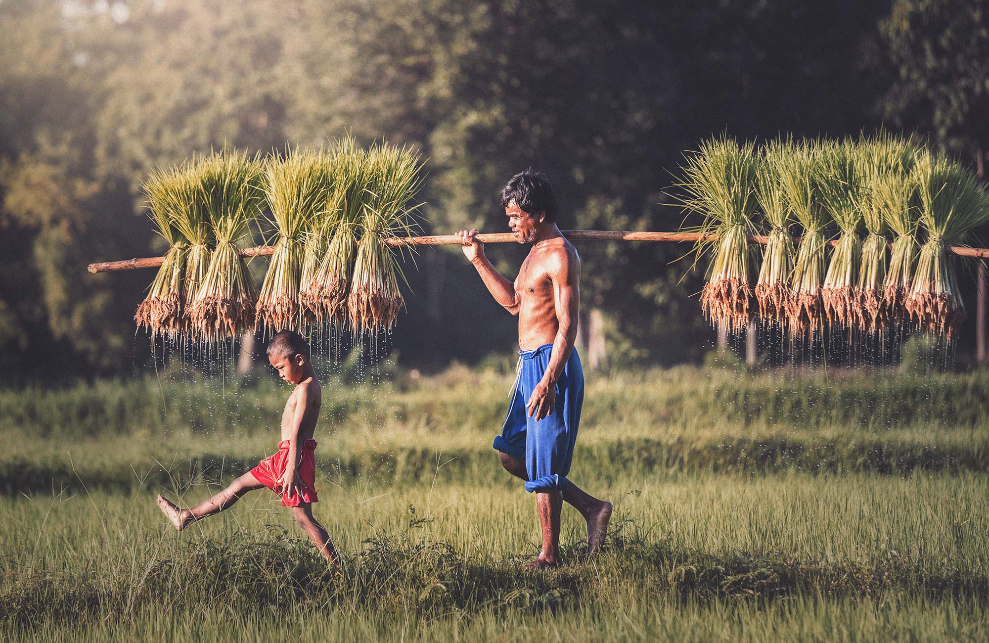 5 redenen om Cambodja te bezoeken