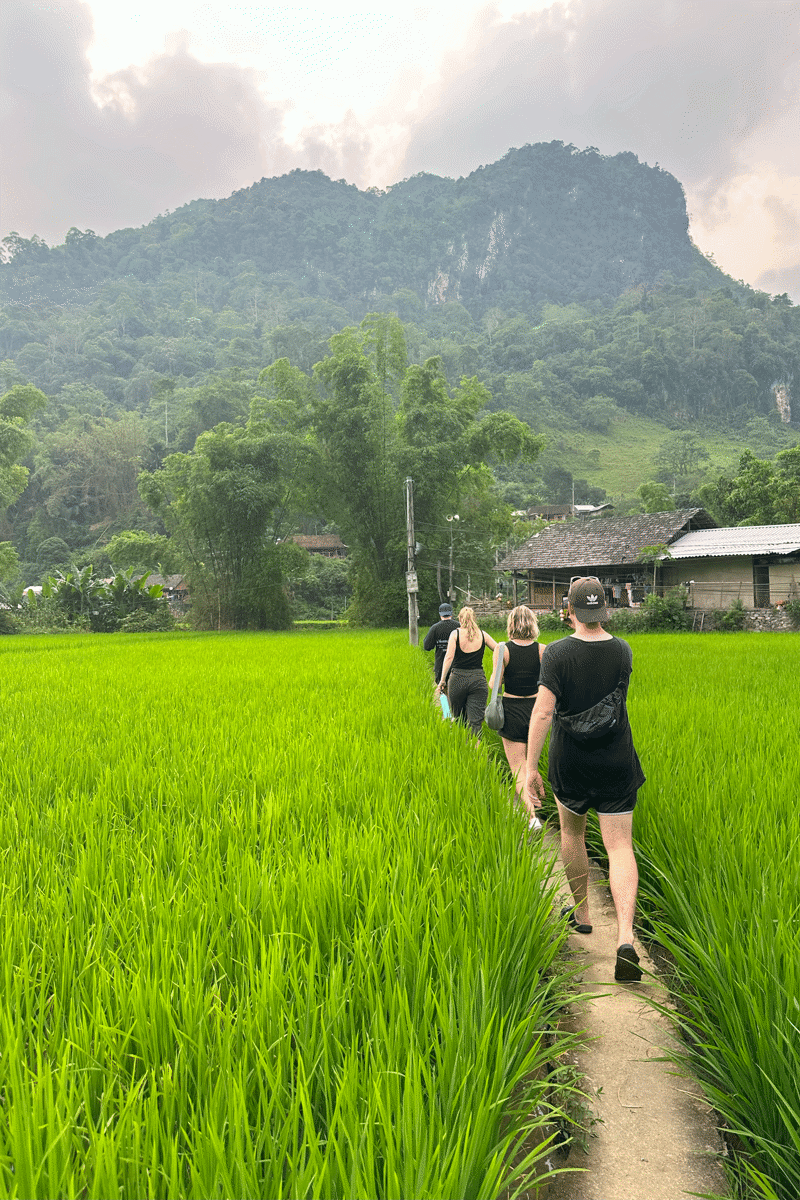 Mensen lopen tussen het hoge gras in een dorpje in Vietnam