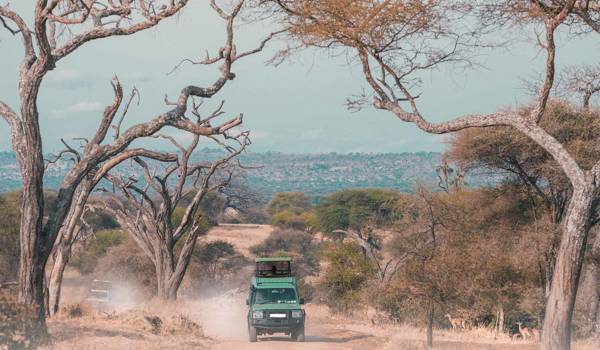 serengeti-tanzania-safari-drive-car-cover
