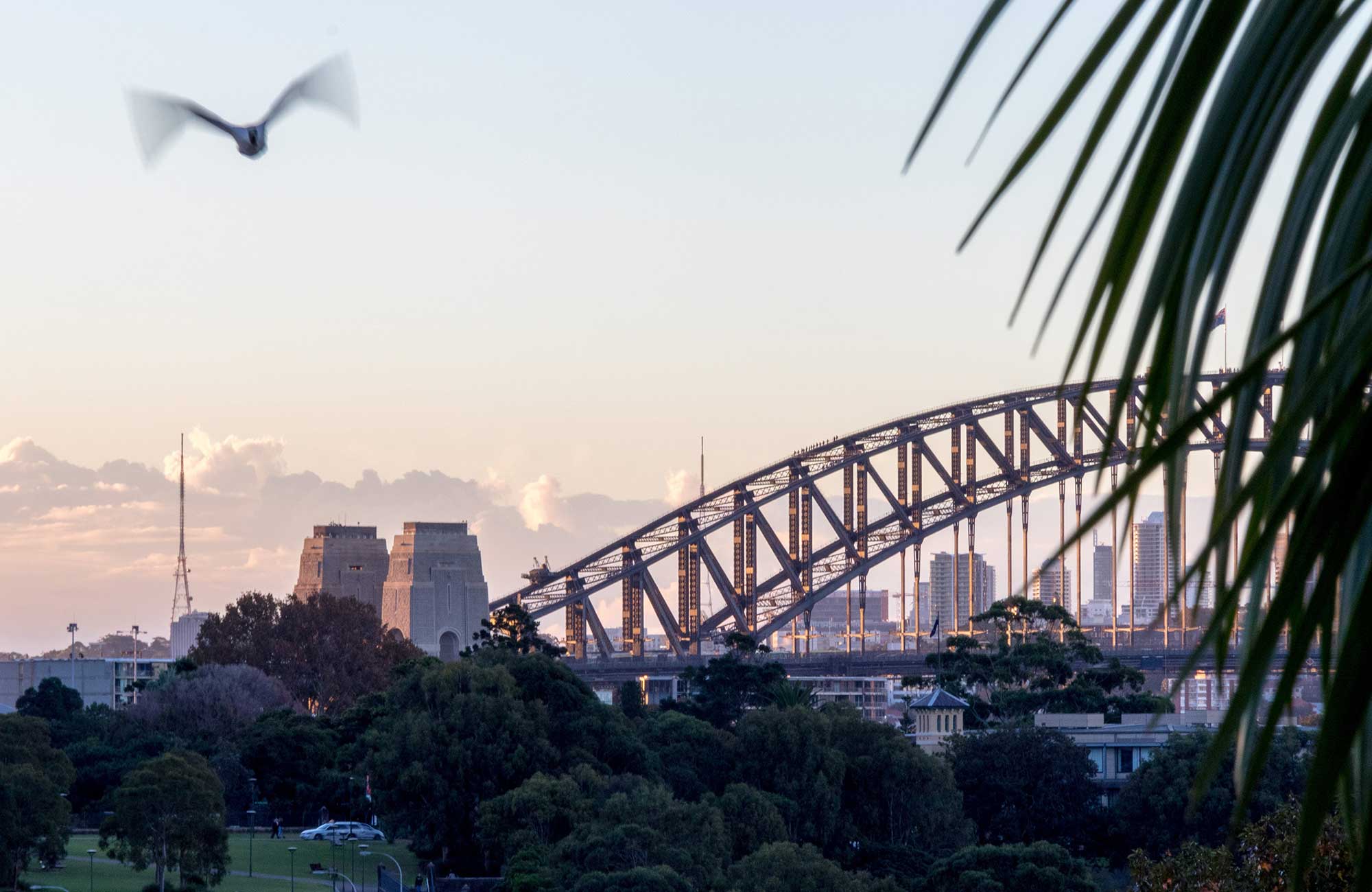 Harbour Bridge in Sydney