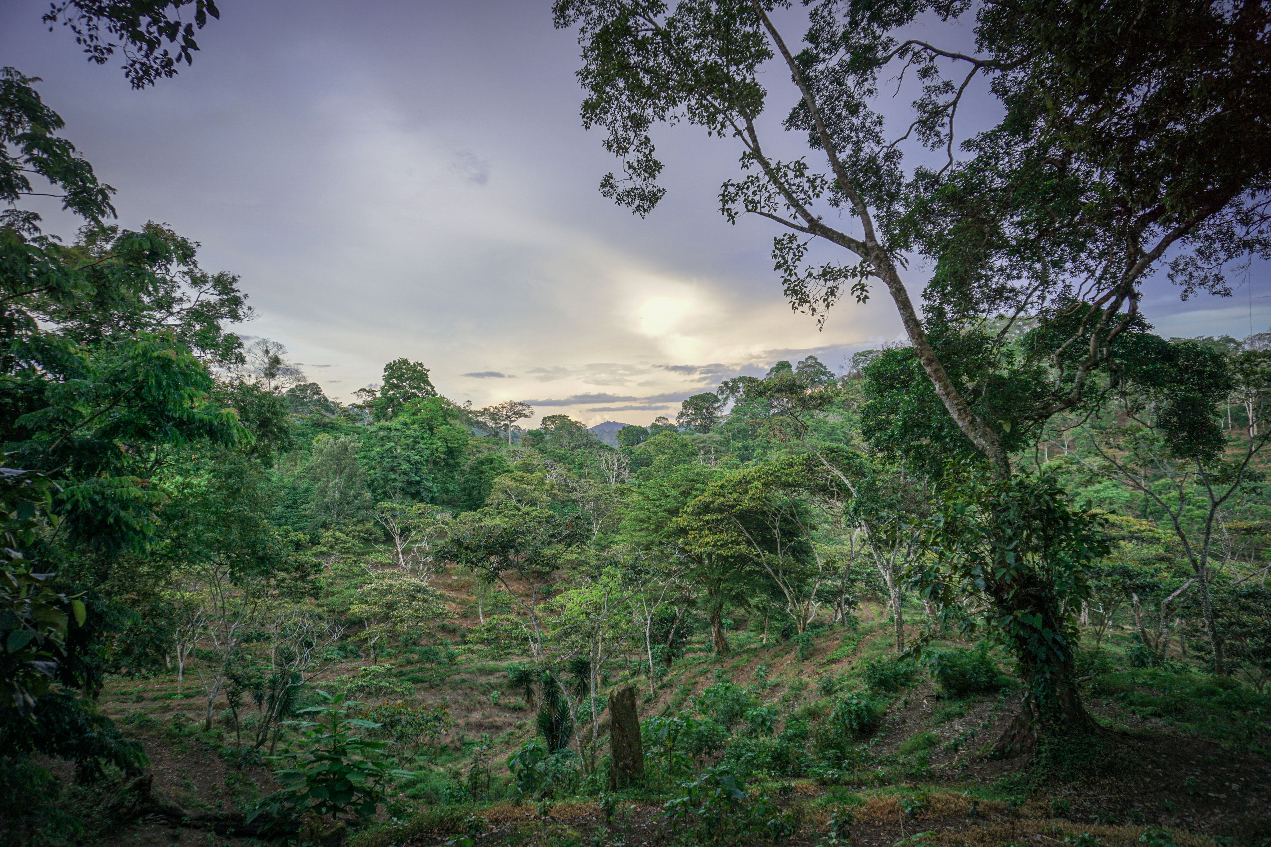 MyClimate in Nicaragua